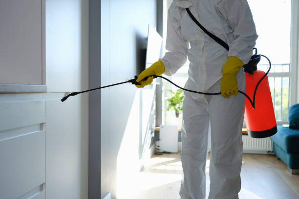 Best Professional Mold Removal  in Parkville, MD